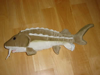 sturgeon stuffed animal